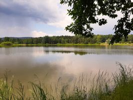 401 223 Vackův rybník - kontrola 17.6.23 (2).jpg